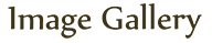 Image Archieve